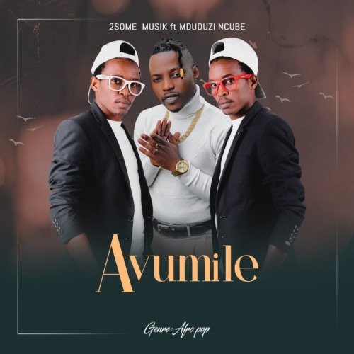 2Some Musik – Avumile ft. Mduduzi Ncube 2Some Musik – Avumile ft. Mduduzi Ncube