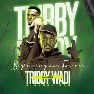 Tribby Wadi Bhozza ft Bad- Beginning Our Forever album Tribby Wadi Bhozza ft Bad- Beginning Our Forever album