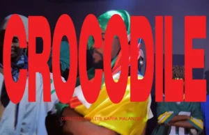 AOPDH – Crocodile AOPDH – Crocodile