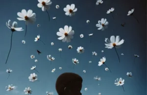 Harold – Pésnochão (feat. Yang) Harold – Durag (feat. Laylizzy)