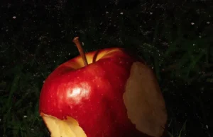 Ludmilla – Paraíso Ludmilla – Paraíso