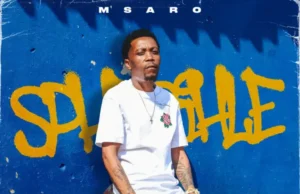 Msaro – Sphesihle (Album) Msaro – Sphesihle (Album)