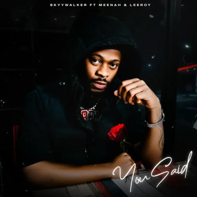Skyywalker – You Said (feat. Meenah & Leeroy)