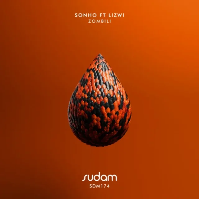 Sohno & Lizwi – Zombili