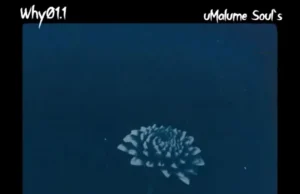 Why01.1 & uMalume Soul’s – Mthunzi Welanga Why01.1 & uMalume Soul’s – Mthunzi Welanga