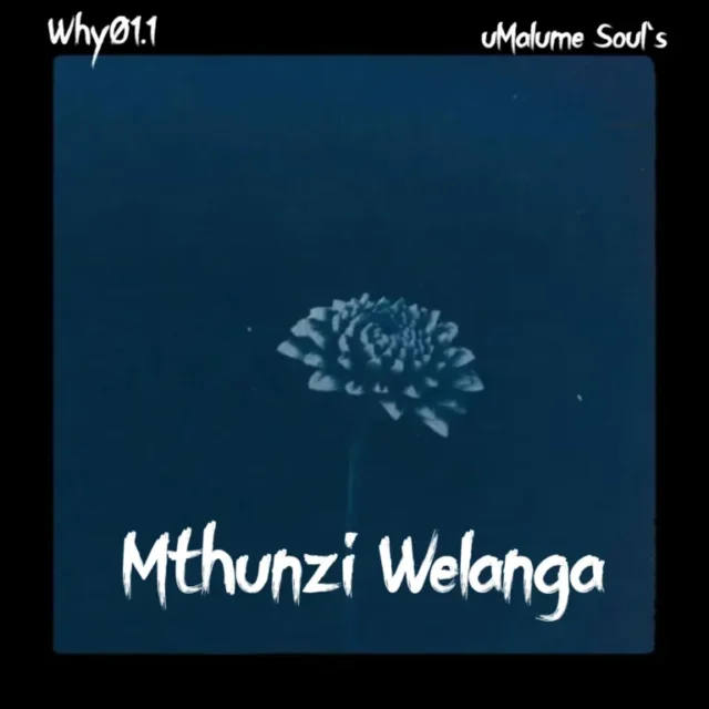 Why01.1 & uMalume Soul’s – Mthunzi Welanga