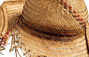 Arnaldo Manhice – Macamo Arnaldo Manhice – Macamo