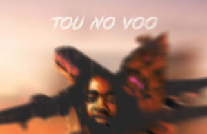 Nilzzy Wamunene – To No Voo (feat. Hernâni da Silva & K9) Nilzzy wamunene - To No Voo (feat. Hernâni da Silva & K9)
