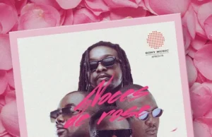 Revolution – Zaka (feat. Roseline Layo) Revolution – Zaka (feat. Roseline Layo)