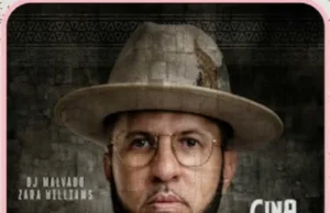DJ Malvado – Gina (feat. Zara Williams) DJ Malvado – Gina (feat. Zara Williams)