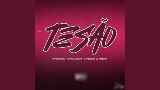Dj Wami Pro ft. Evanilson de Almeida x Dj Paca Show – Tesão (Remix)