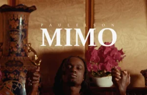 Paulelson – MIMO Paulelson – MIMO