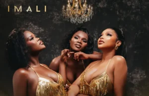 Q Twins & Mawhoo – Imali (feat. Exclusive Drumz & Tee Jay) Q Twins & Mawhoo – Imali (feat. Exclusive Drumz & Tee Jay)