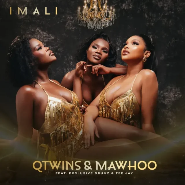 Q Twins & Mawhoo – Imali (feat. Exclusive Drumz & Tee Jay)