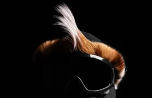 MAZIYA – eSamenteni feat. Moonchild Sanelly, Oscar MBO & ODYSSEY MAZIYA – eSamenteni feat. Moonchild Sanelly, Oscar MBO & ODYSSEY