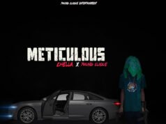 Chella feat. Young Clique – Meticulous Chella ft Young Clique – Meticulous