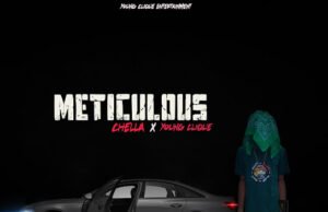 Chella feat. Young Clique – Meticulous Chella ft Young Clique – Meticulous