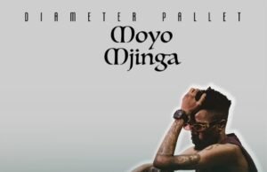 Diameter Pallet – Moyo Mjinga Diameter Pallet – Moyo Mjinga