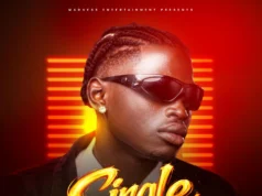 Nava Madness – Single Nava Madness - Single