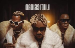 Organized Family – Paint Organized Family – Paint