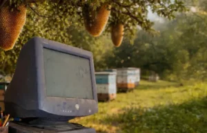 Mas Musiq – Uju (Album) Mas Musiq – Uju (Album)