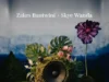 Zakes Bantwini & Skye Wanda – Echoes Of Botanical Gardens (Album) Zakes Bantwini & Skye Wanda – Echoes Of Botanical Gardens (Album)