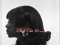 Didi B – Cherie Coco (feat. Fally Ipupa) Didi B – Cherie Coco (feat. Fally Ipupa)
