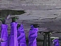 Hernani – Diz Não Hernâni – Vergonha É Roubar E Ser Apanhado EP