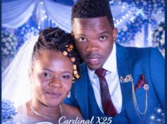 Cardinal X25 – Phakade Cardinal X25 – Phakade