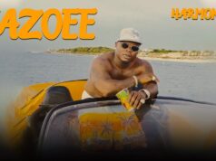 Harmonize – Yazoee Harmonize – Yazoee