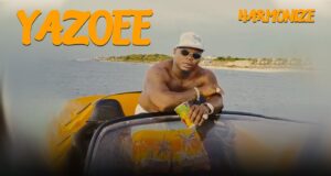 Harmonize – Yazoee Harmonize – Yazoee
