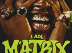 Busta 929, Prince Kaybee, ZiwaBeatz & Amapiano Village – I Am Matrix (Album) Busta 929, Prince Kaybee, ZiwaBeatz & Amapiano Village - I Am Matrix (Album)
