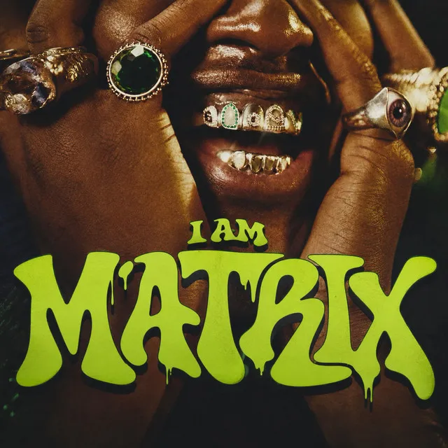 Busta 929, Prince Kaybee, ZiwaBeatz & Amapiano Village - I Am Matrix (Album) Busta 929, Prince Kaybee, ZiwaBeatz & Amapiano Village - I Am Matrix (Album)