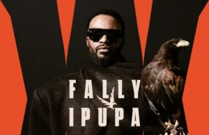 Fally Ipupa – Bonheur Parfait Fally Ipupa - Bonheur Parfait