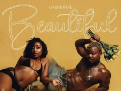 Harmonize – Beautiful Harmonize - Beautiful