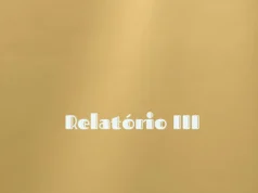 Rei Bravo – Relatório III Rei Bravo – Relatório III
