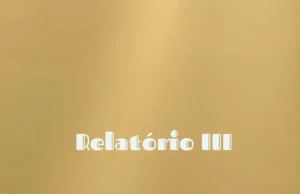 Rei Bravo – Relatório III Rei Bravo – Relatório III